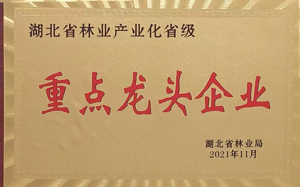 省林業(yè)產(chǎn)業(yè)化重點龍頭企業(yè)（2021）